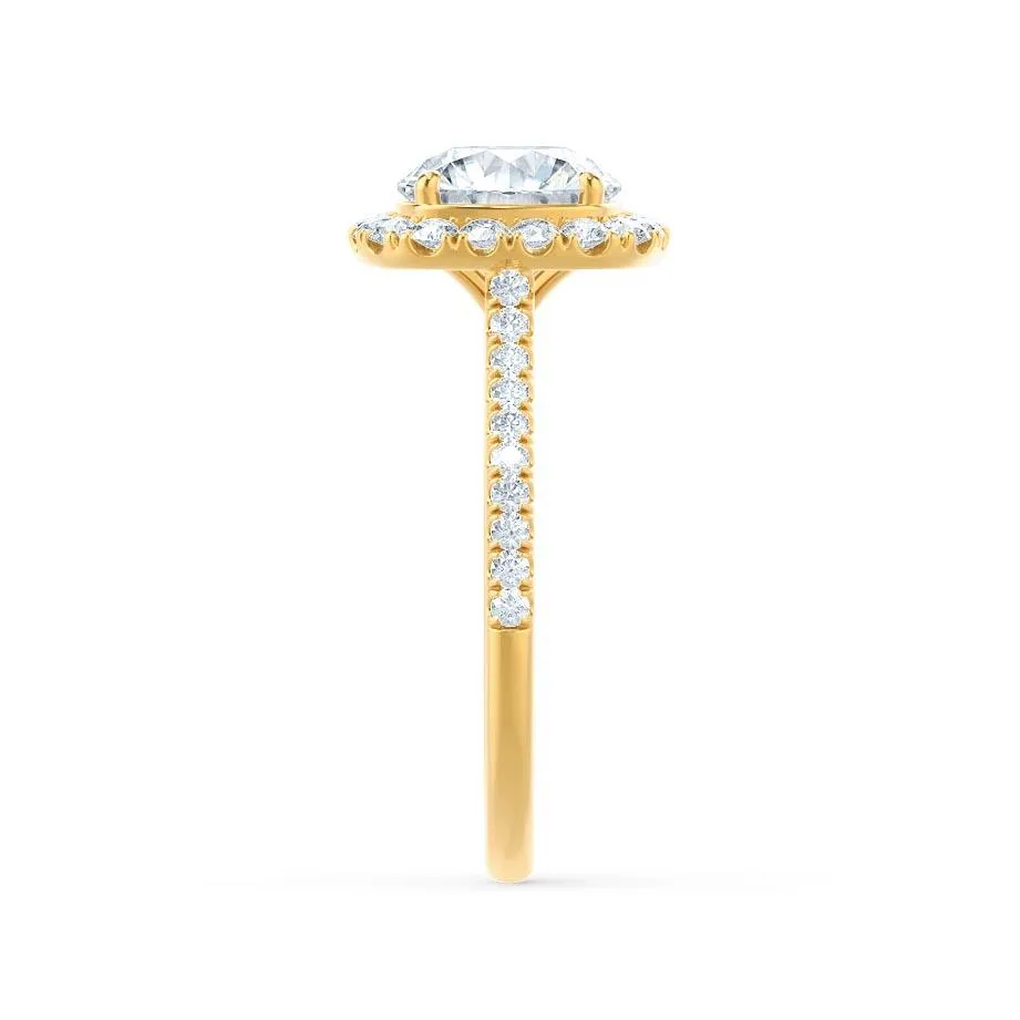 DARLEY - Moissanite Elongated Cushion Micro Pavé 18k Yellow Gold Halo