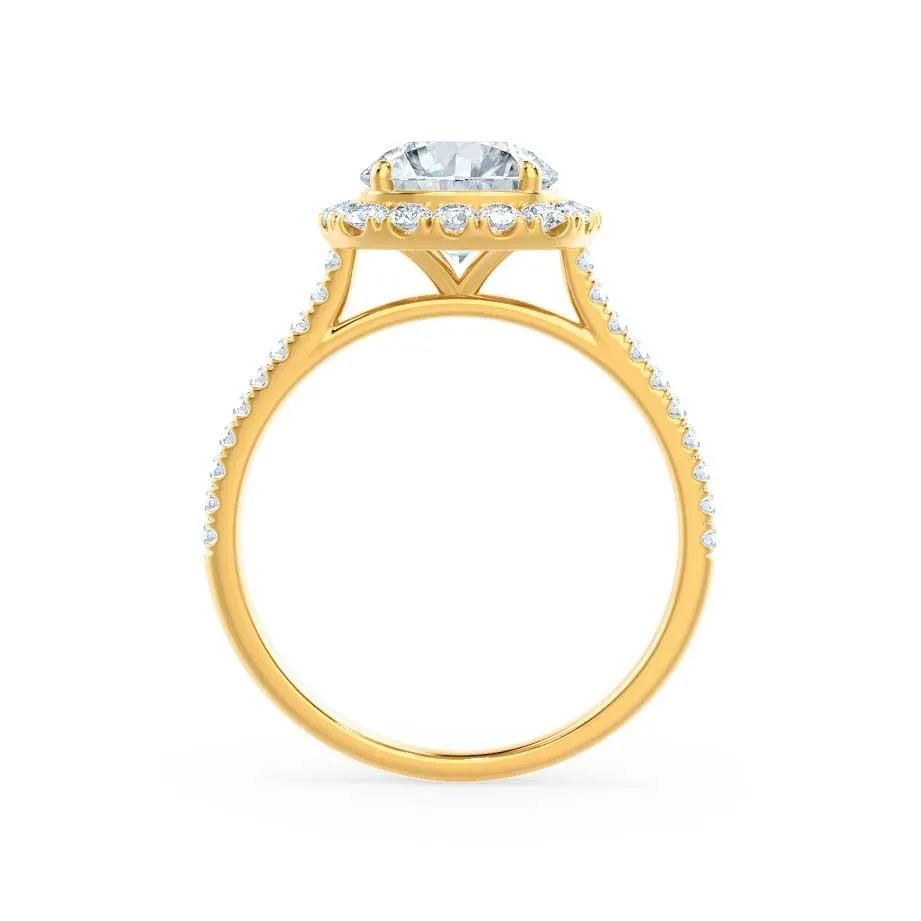 DARLEY - Moissanite Elongated Cushion Micro Pavé 18k Yellow Gold Halo