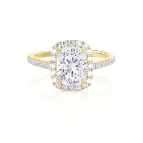 DARLEY - Moissanite Elongated Cushion Micro Pavé 18k Yellow Gold Halo