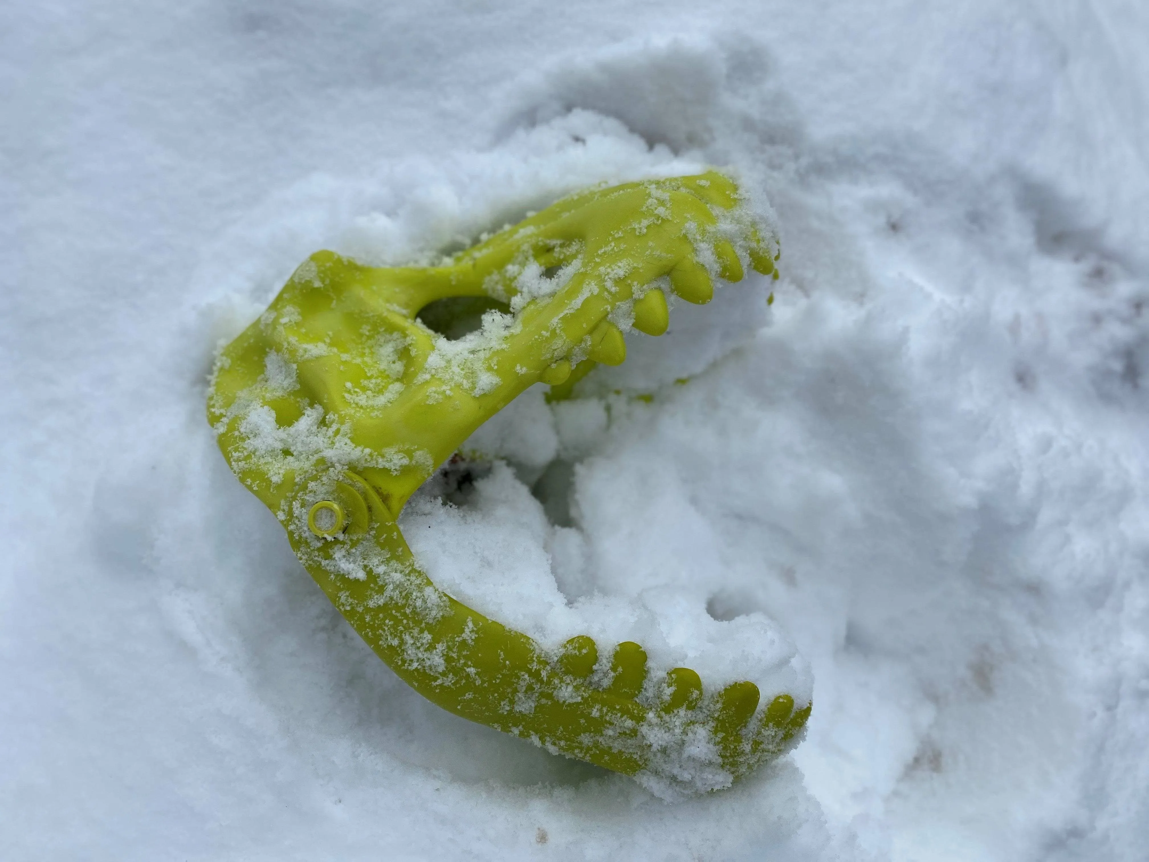 Dinosaur Sand Glove