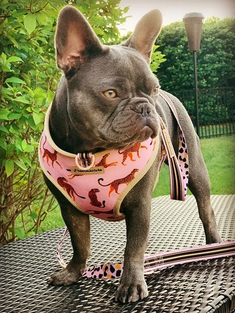 Frenchiestore Reversible Dog Health Harness | Wild One