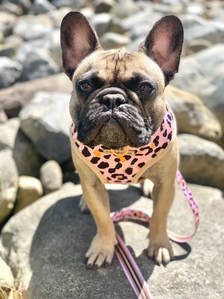 Frenchiestore Reversible Dog Health Harness | Wild One