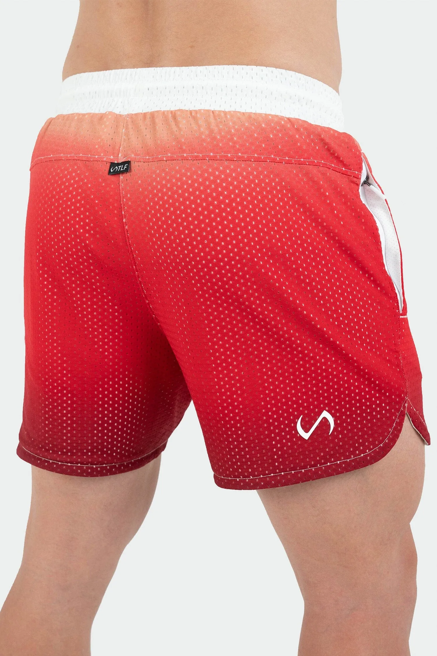 GTS Ombre Mesh 5 Inch Shorts