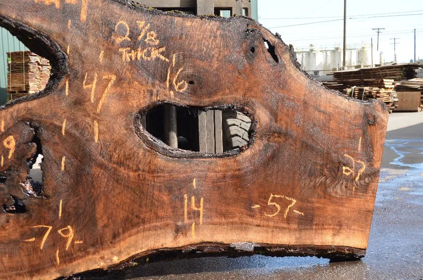 Oregon Black Walnut Slab 051322-01