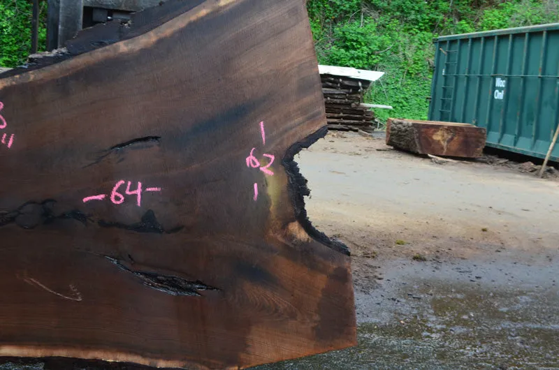 Oregon Black Walnut Slab 051915-03