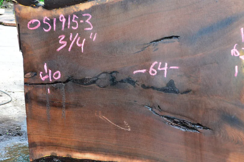 Oregon Black Walnut Slab 051915-03