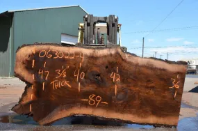 Oregon Black Walnut Slab 063022-04