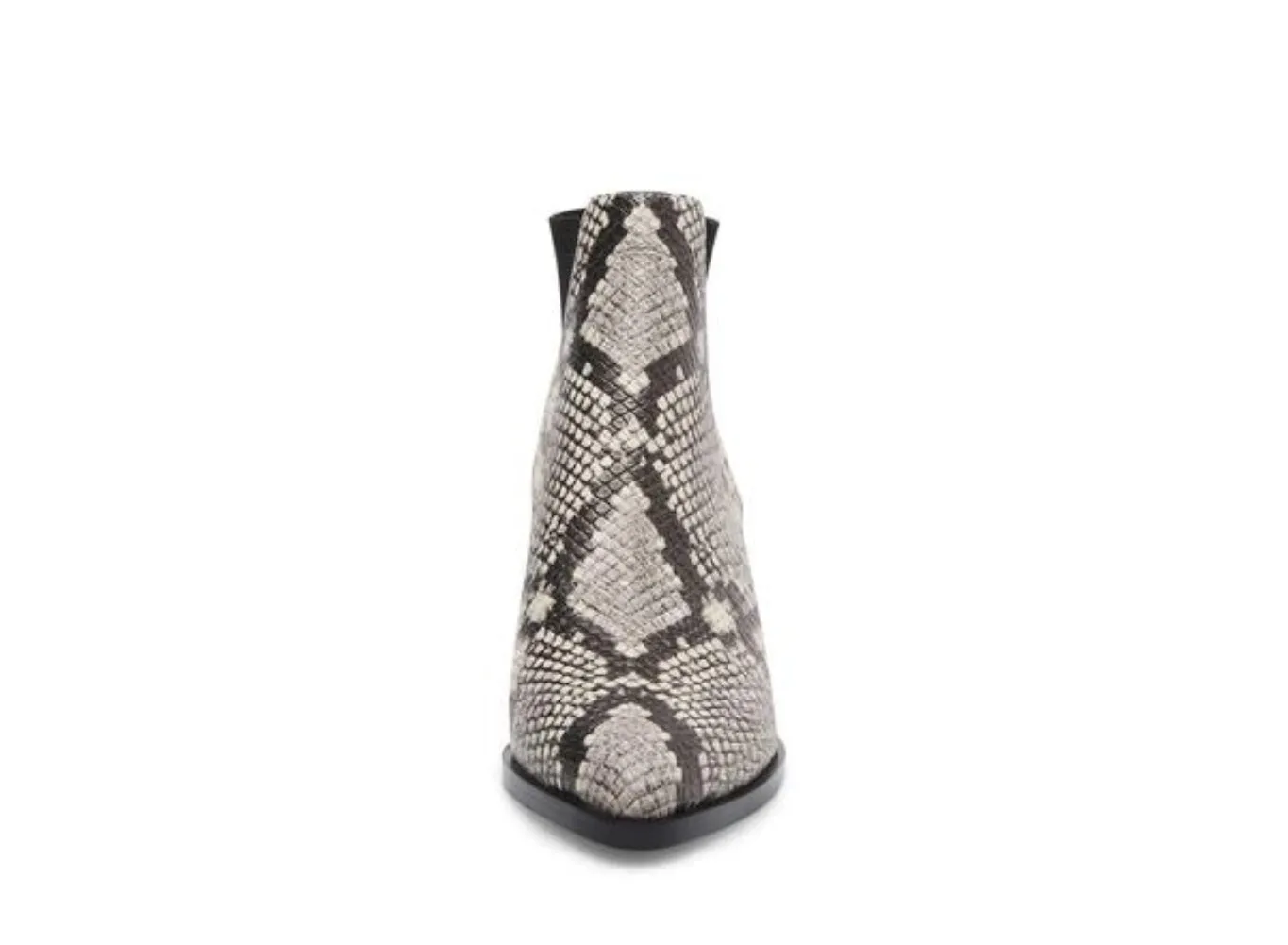 STEVE MADDEN Patrol Women | Snake