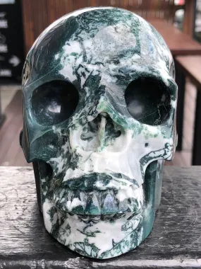 Tree Agate/Moss Agate Skull [25V63]