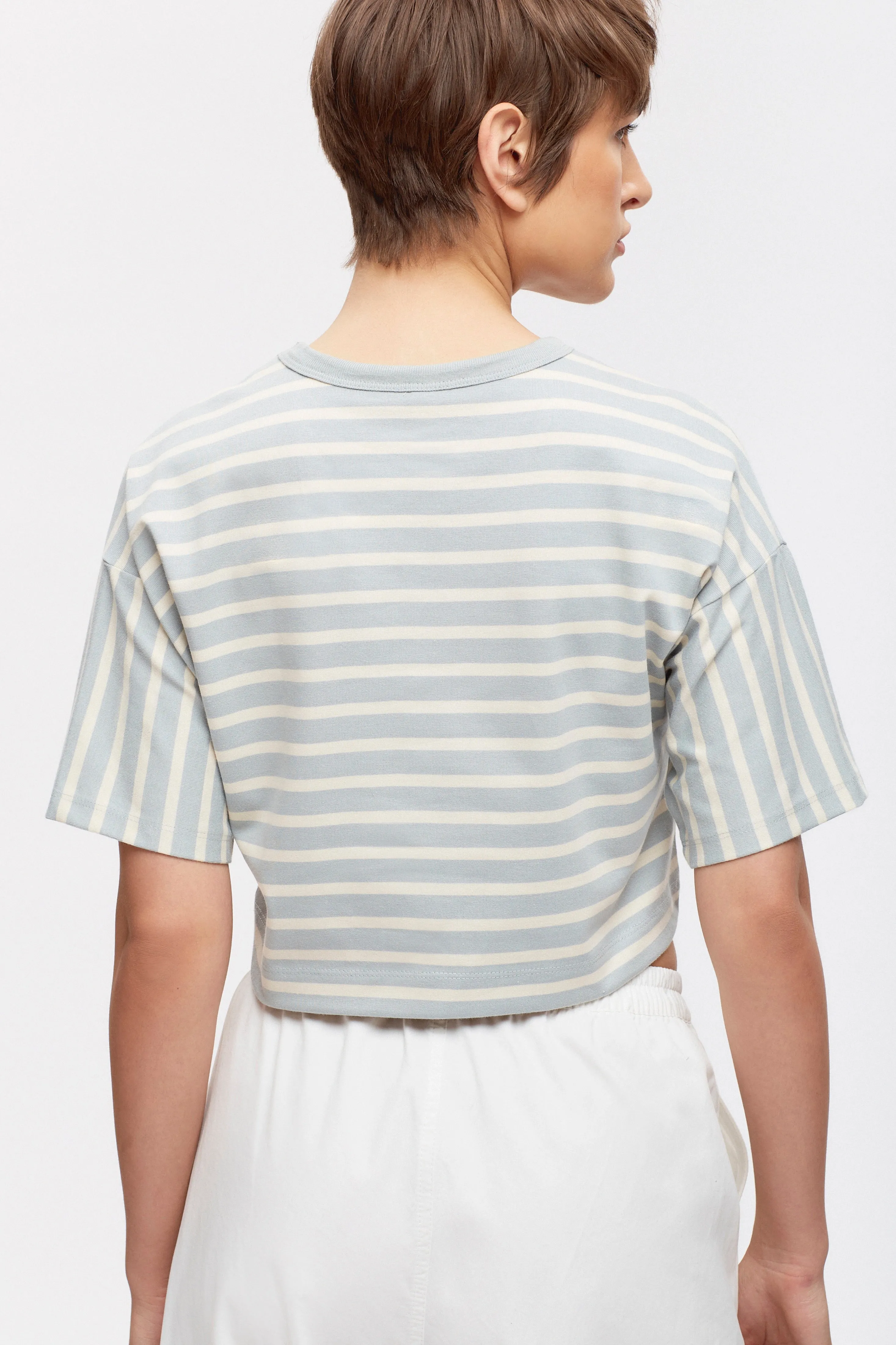 Women's Heavyweight Crop Tee in Puritan Grey/Birch Stripe