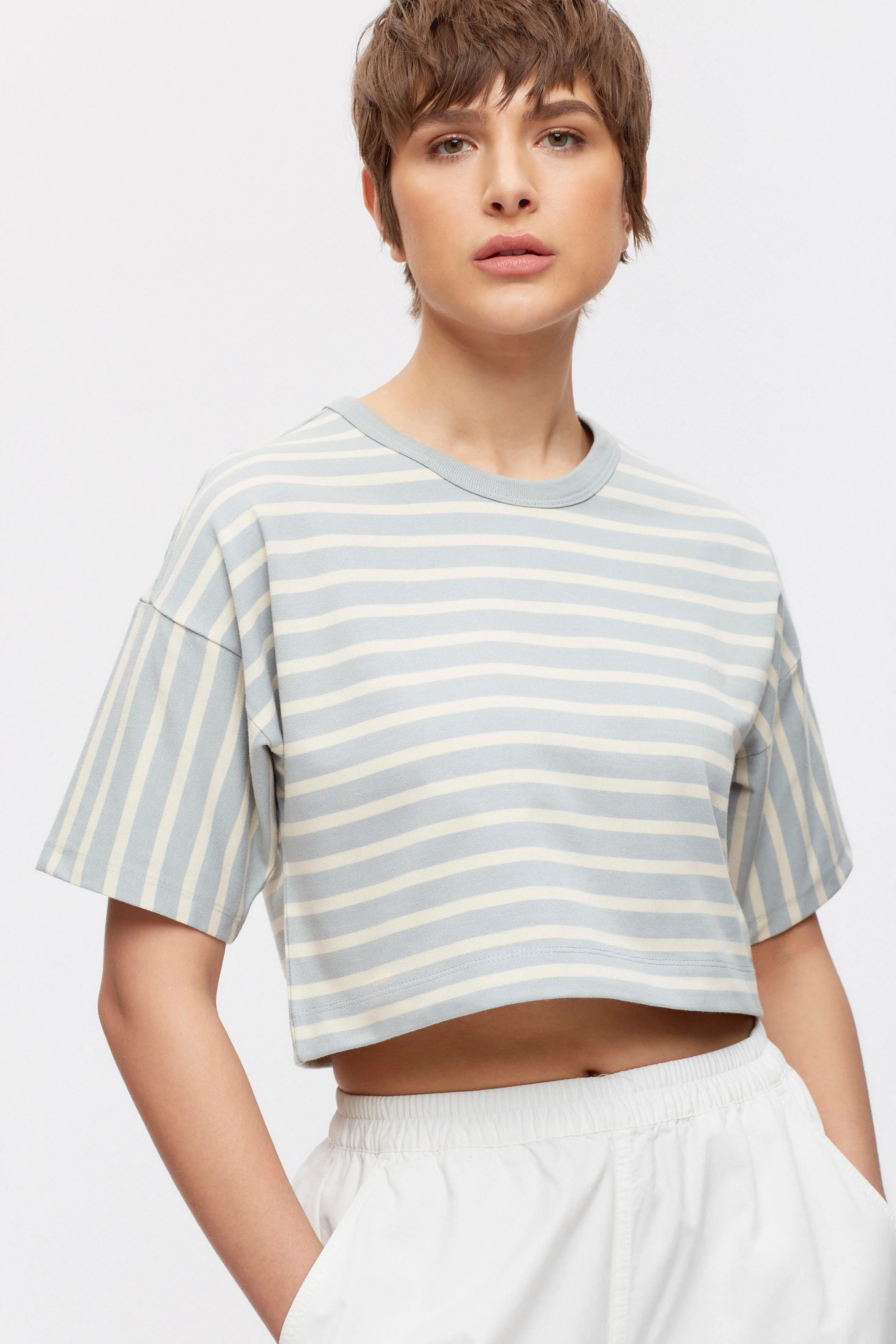 Women's Heavyweight Crop Tee in Puritan Grey/Birch Stripe